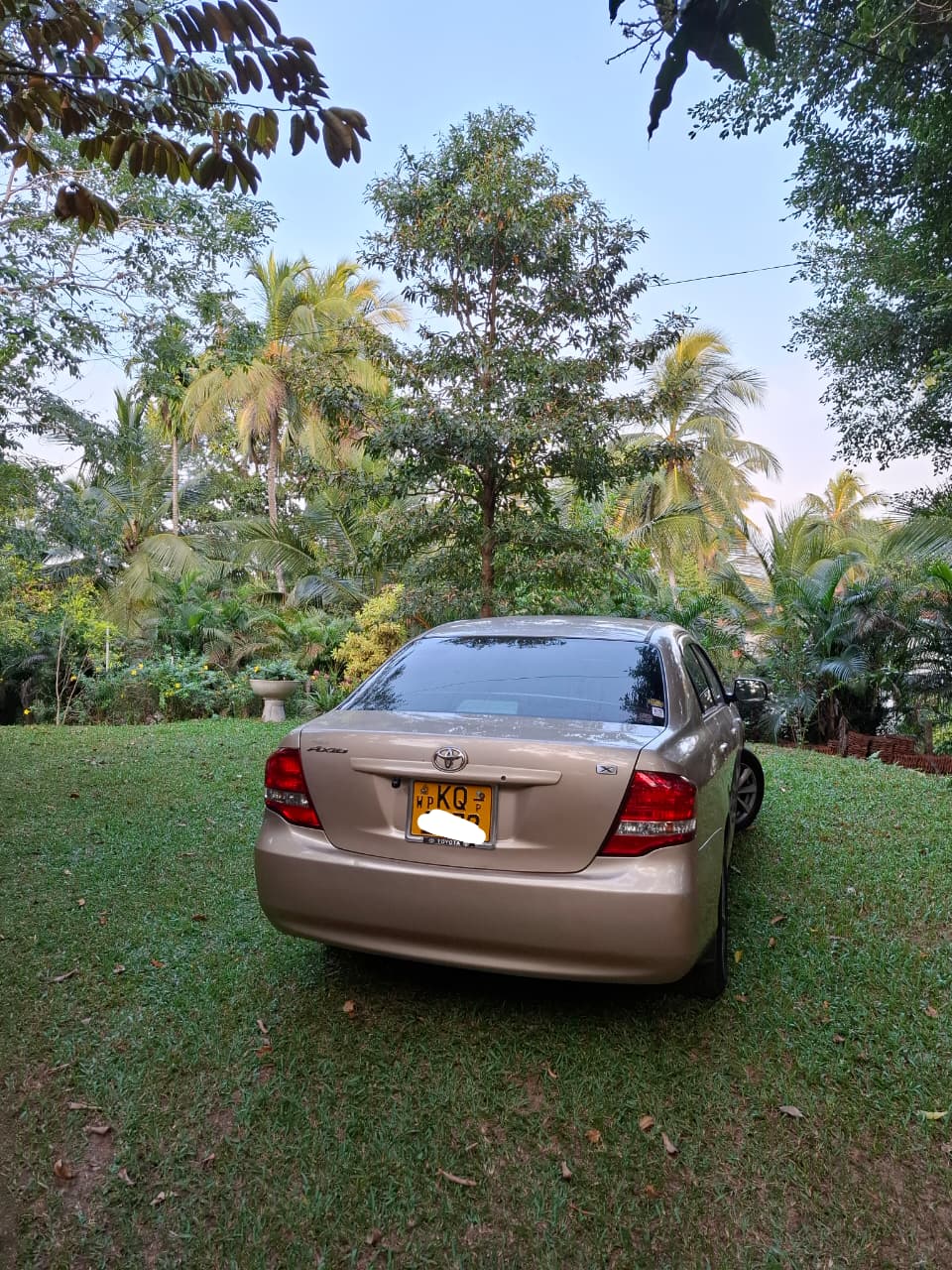 Memory - Sri Lanka